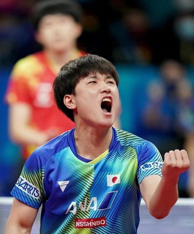 日本乒乓球队完胜奥地利乒乓球队，张本智和制霸全场