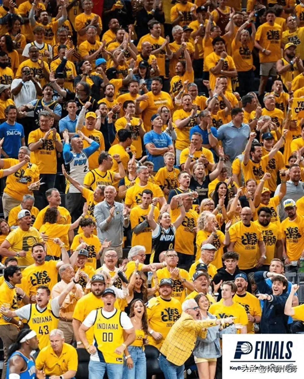 篮球明星城市游，球迷捧场迎风再起的简单介绍