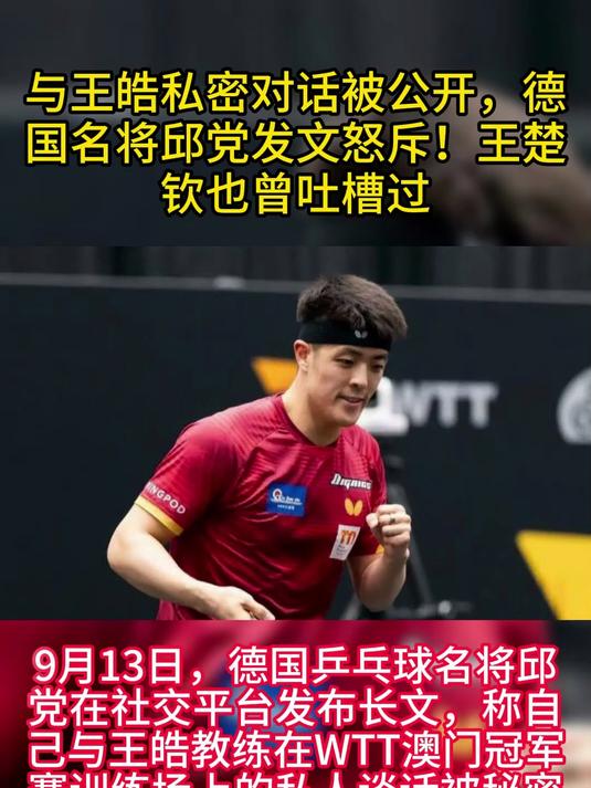 关于法国乒乓球队鏖战德国乒乓球队，王皓制霸全场的信息